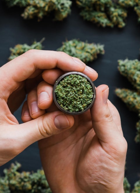w-hemp-img-hemp-2-opt w-hemp-img-hemp-2-opt
